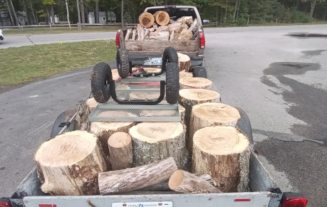 Hauling A Load From The Woods